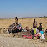 Sudan: The Berlin Conference and the War Against Settlement